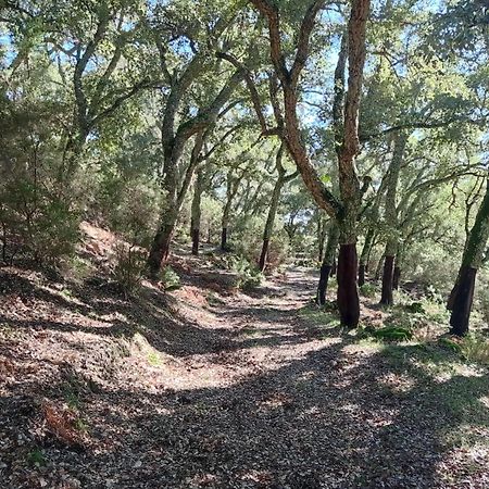 Apartamento Valle Del Guadiaro Cortes de la Frontera Kültér fotó