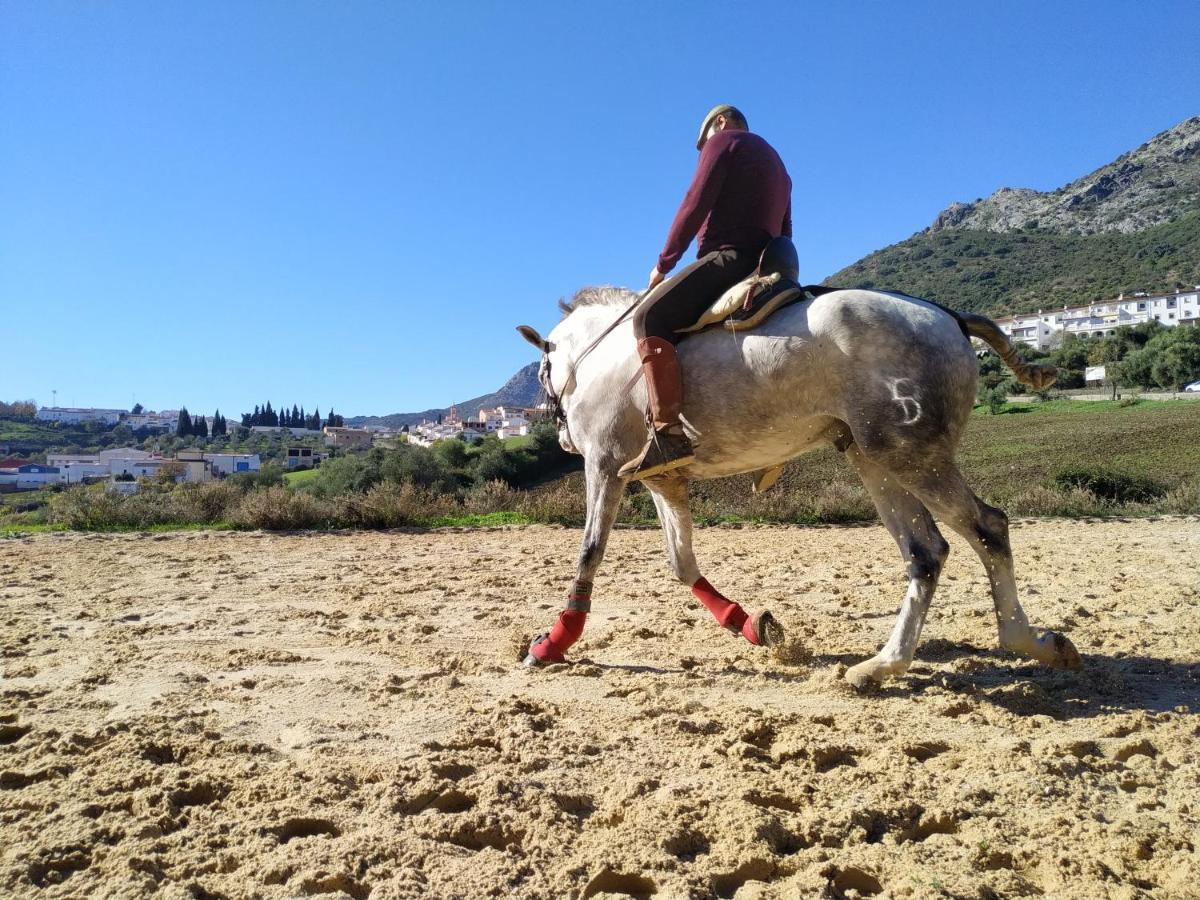 Apartamento Valle Del Guadiaro Cortes de la Frontera Kültér fotó